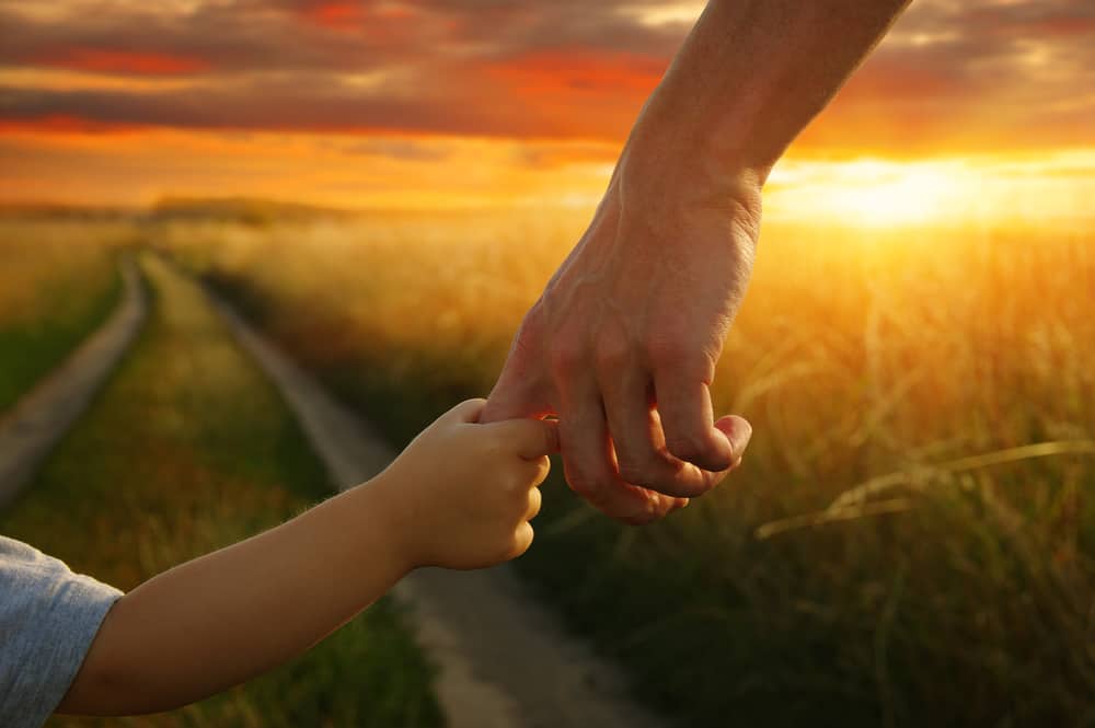 hands of the parent and litlle child in field on road