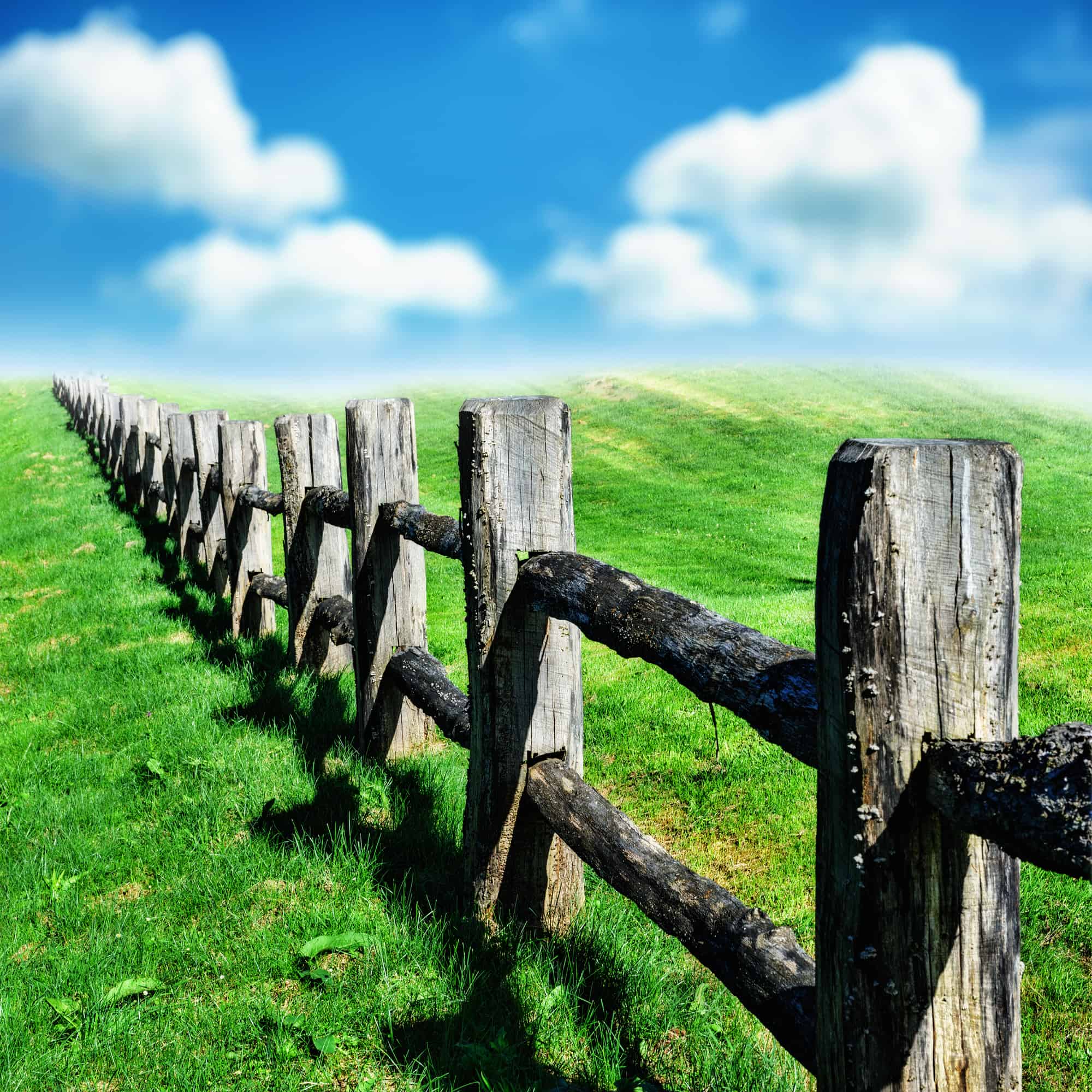 Old wooden fence at green summer field